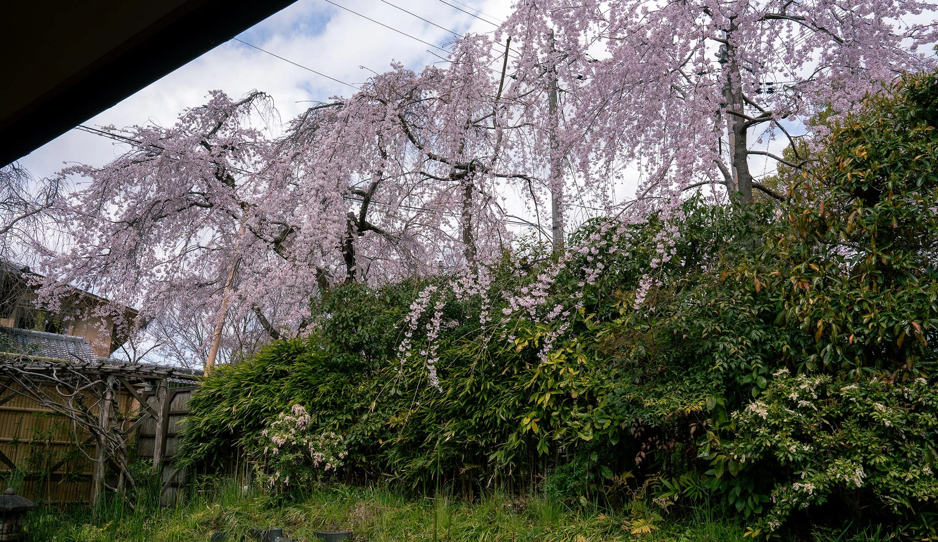 葵の間の画像3