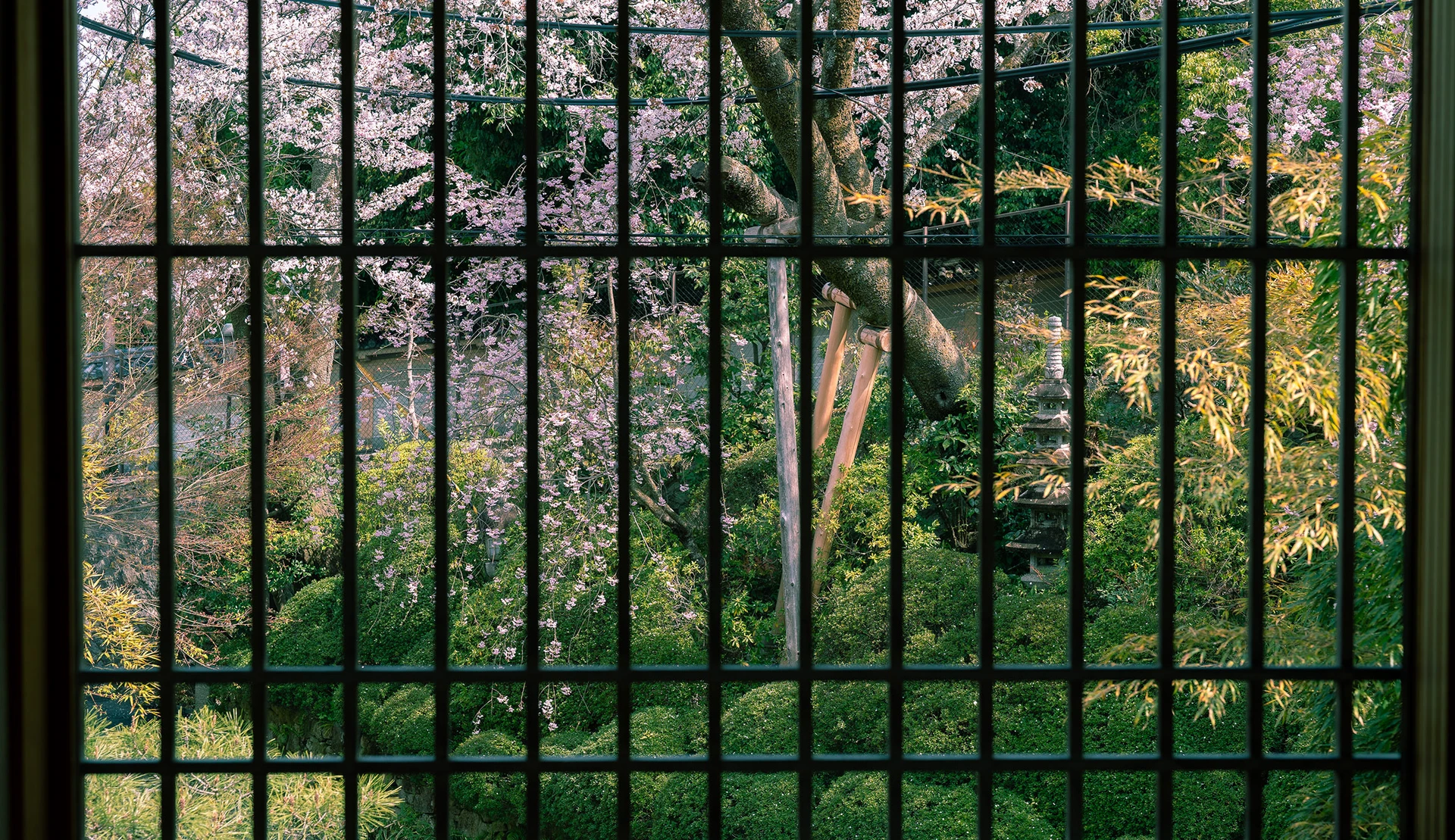 菊の間の画像4