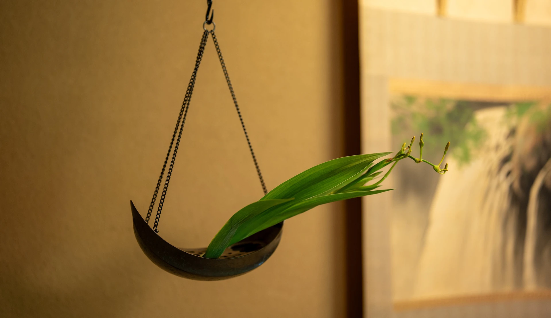 菊の間の画像5