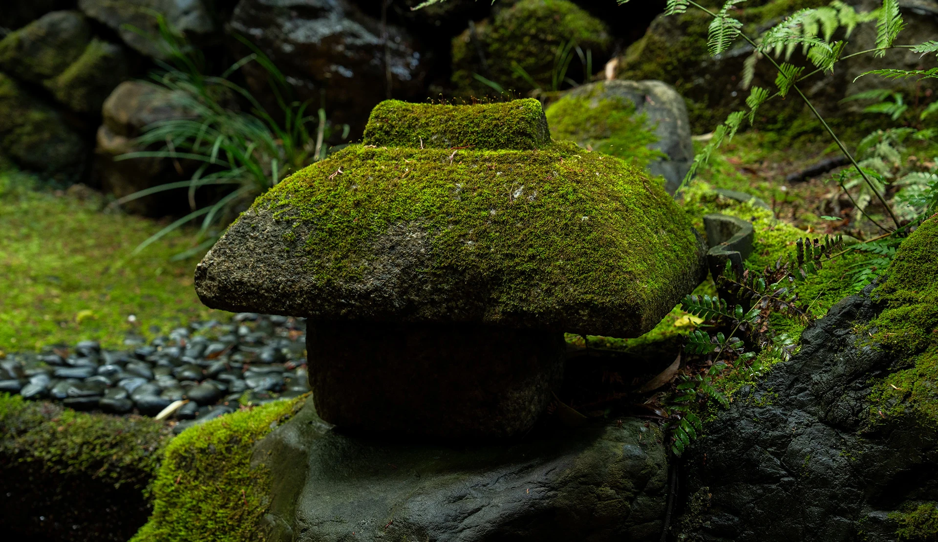 明歴庵の画像5