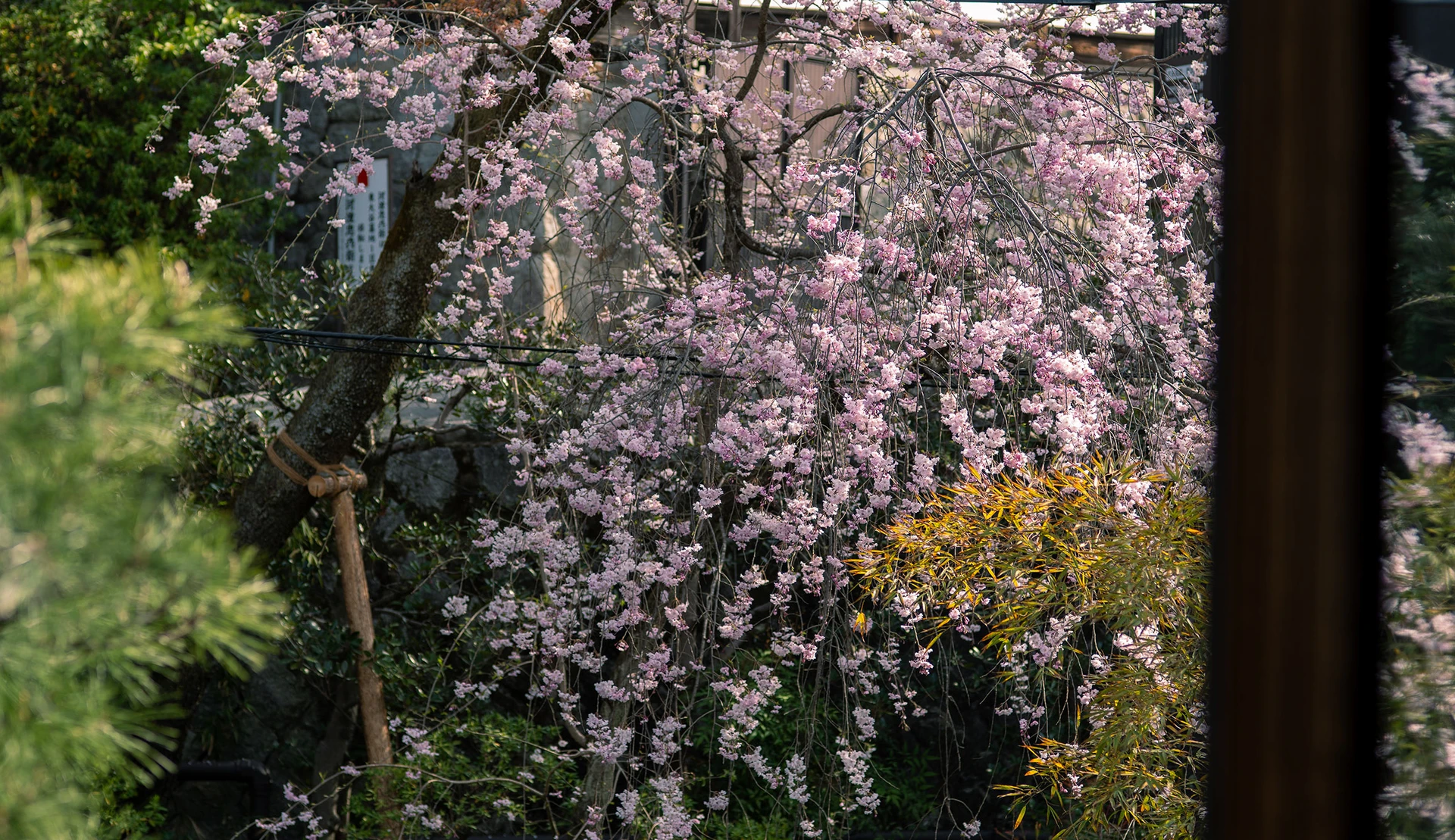 梅の間の画像4