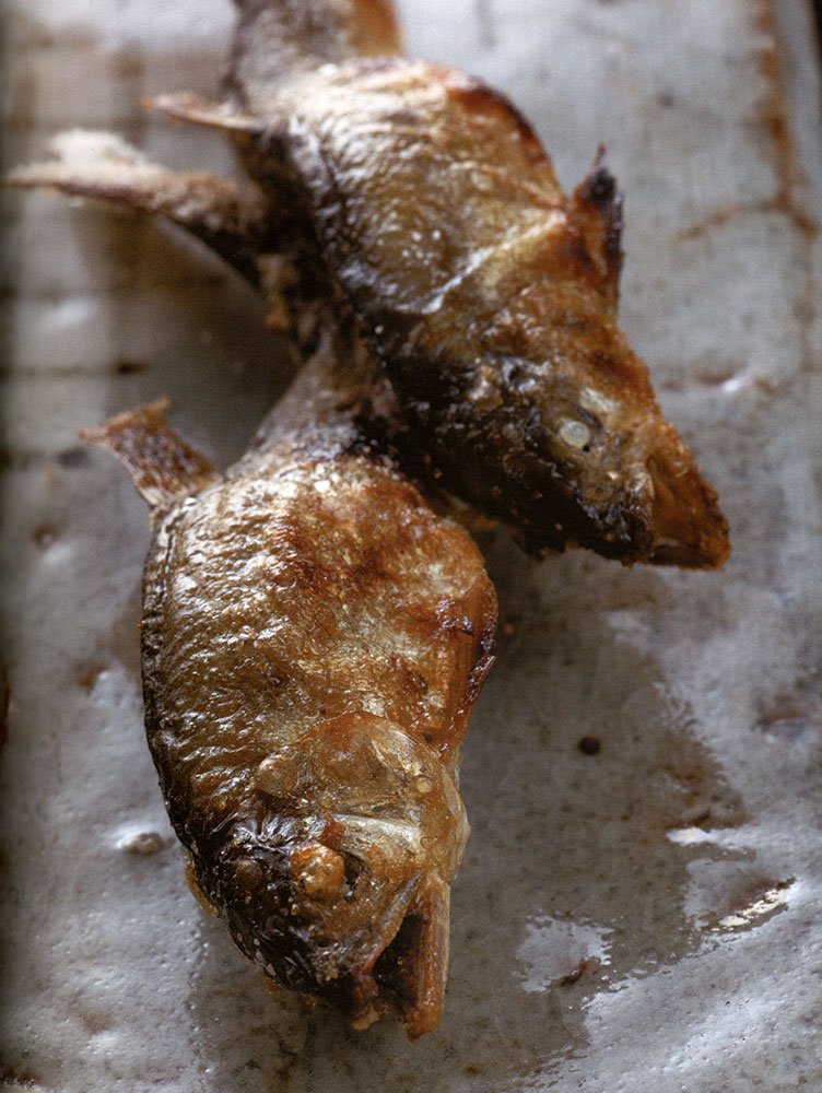 焼物